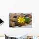 Feng Shui Wall Mural