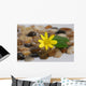 Feng Shui Wall Mural