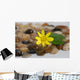 Feng Shui Wall Mural
