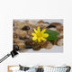 Feng Shui Wall Mural