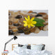 Feng Shui Wall Mural