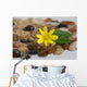 Feng Shui Wall Mural