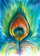 Peacock Feather Wall Mural
