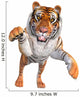 Tiger Jump