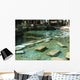 Antique Pool Hierapolis