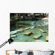 Antique Pool Hierapolis