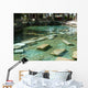 Antique Pool Hierapolis