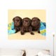 Three Lab Puppies