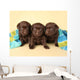 Three Lab Puppies