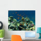 Red Fishes Red Sea Wall Decal