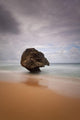 Barbados Strange Shaped Rock Wall Decal 2