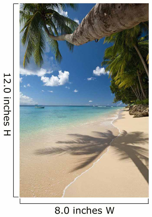 Barbados Palm Tree Leaning Wall Decal 1