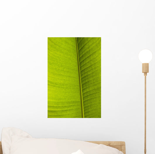 Barbados Detail Banana Leaf Wall Decal