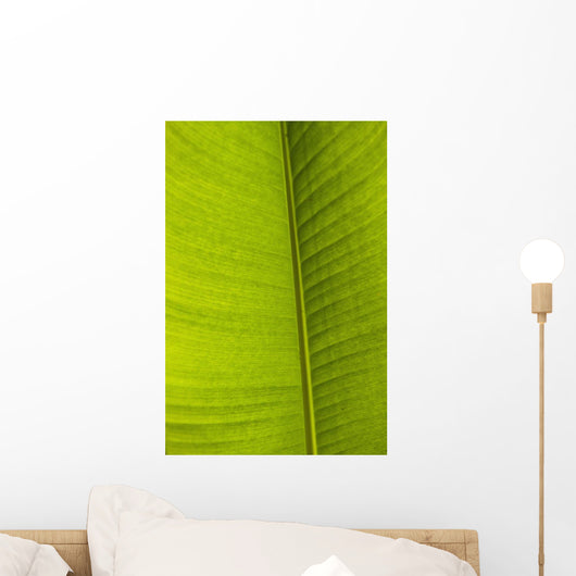 Barbados Detail Banana Leaf Wall Decal