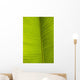 Barbados Detail Banana Leaf Wall Decal