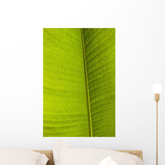 Barbados Detail Banana Leaf Wall Decal