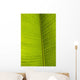 Barbados Detail Banana Leaf Wall Decal