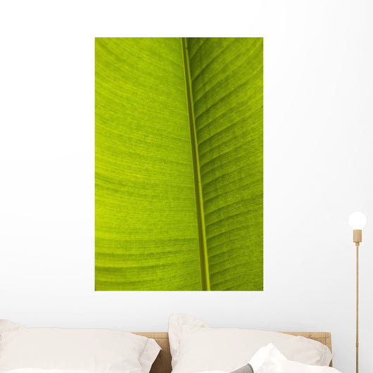 Barbados Detail Banana Leaf Wall Decal