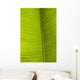 Barbados Detail Banana Leaf Wall Decal