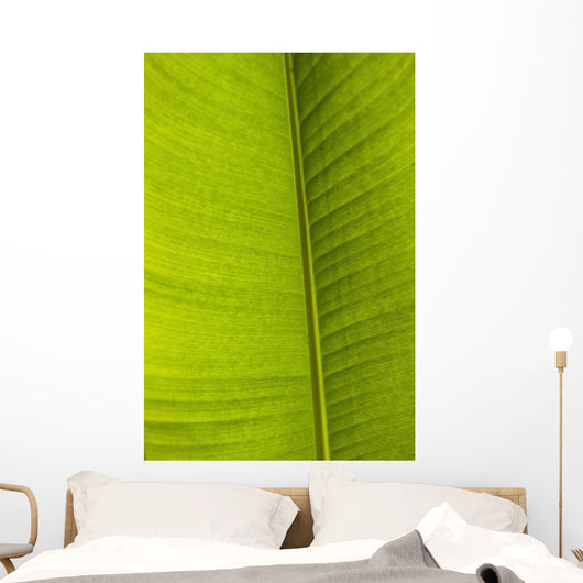 Barbados Detail Banana Leaf Wall Decal