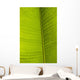 Barbados Detail Banana Leaf Wall Decal