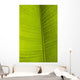 Barbados Detail Banana Leaf Wall Decal