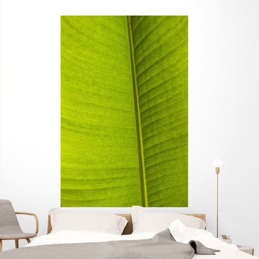 Barbados Detail Banana Leaf Wall Decal