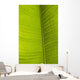 Barbados Detail Banana Leaf Wall Decal