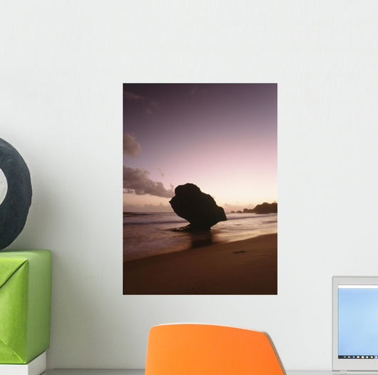 Barbados Silhouette Strange Shaped Wall Decal