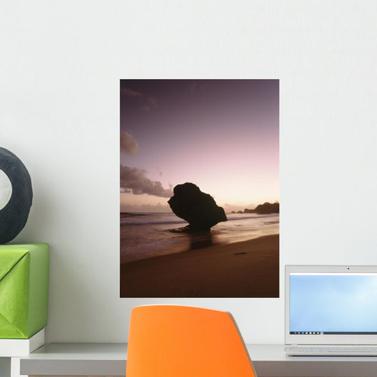 Barbados Silhouette Strange Shaped Wall Decal