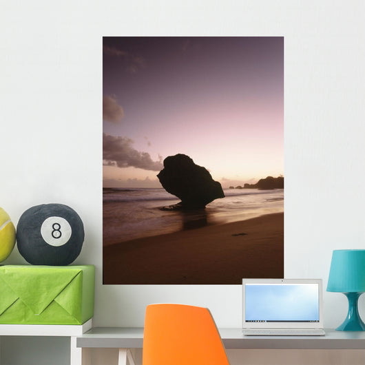 Barbados Silhouette Strange Shaped Wall Decal