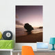 Barbados Silhouette Strange Shaped Wall Decal