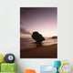Barbados Silhouette Strange Shaped Wall Decal