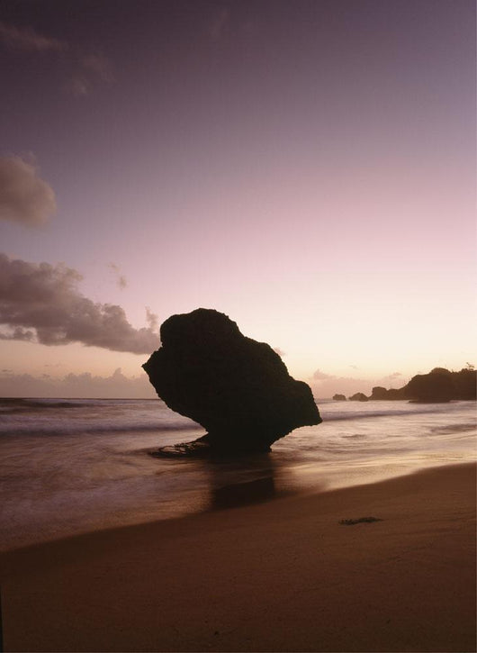 Barbados Silhouette Strange Shaped Wall Decal