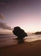 Barbados Silhouette Strange Shaped Wall Decal