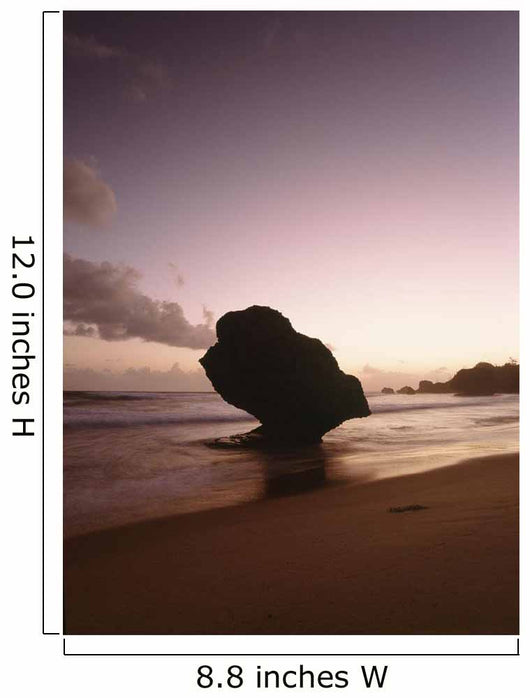 Barbados Silhouette Strange Shaped Wall Decal