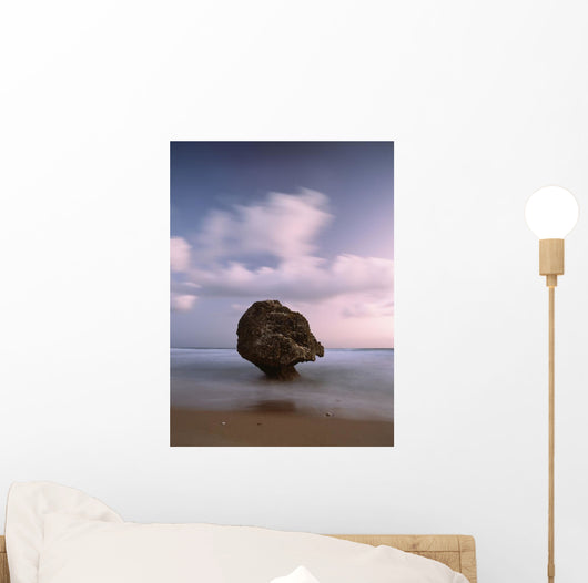 Barbados Strange Shaped Rock Wall Decal 1