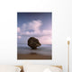 Barbados Strange Shaped Rock Wall Decal 1