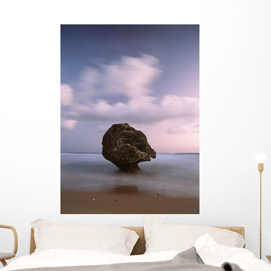 Barbados Strange Shaped Rock Wall Decal 1