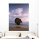 Barbados Strange Shaped Rock Wall Decal 1