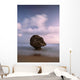 Barbados Strange Shaped Rock Wall Decal 1