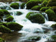 Waterfall Wall Decal Design 7
