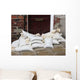 Flood Protection Wall Decal
