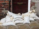Flood Protection Wall Decal