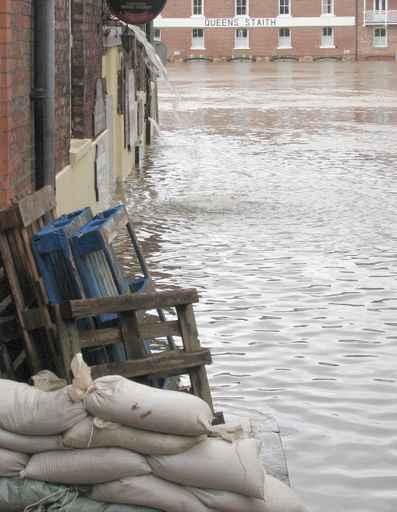 York Floods Wall Decal Design 2