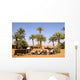 Oasis Desert Wall Decal Design 2