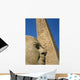 Detail Head Pharaoh Wall Decal