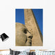 Detail Head Pharaoh Wall Decal