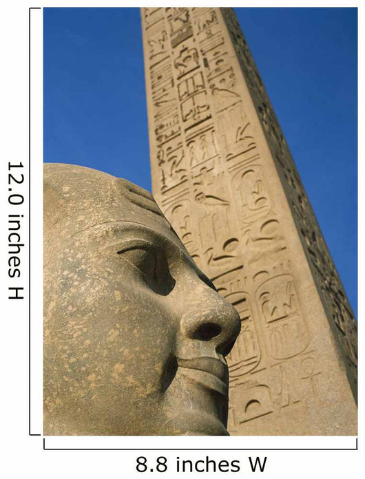 Detail Head Pharaoh Wall Decal
