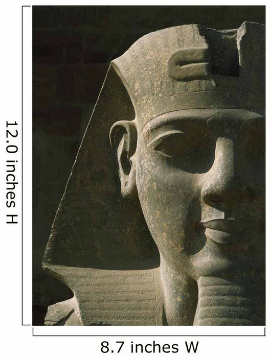 Egypt Detail Pharaoh Head Wall Decal
